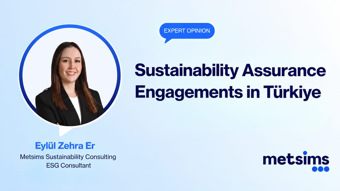 Expert Opinion card for the article "A New Field in Türkiye's Independent Audit System: Sustainability Assurance Engagements"