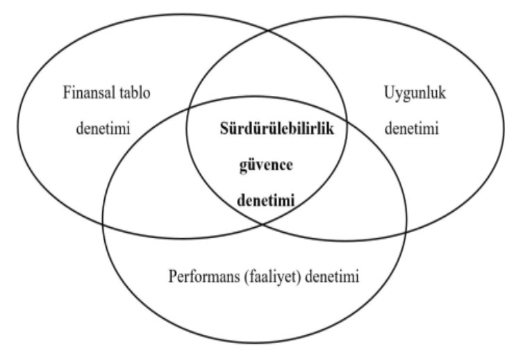 Venn diagram of three overlapping circles, with a fourth term placed in the central region where all three overlap. The labels are in Turkish in the image; the caption gives them in English.