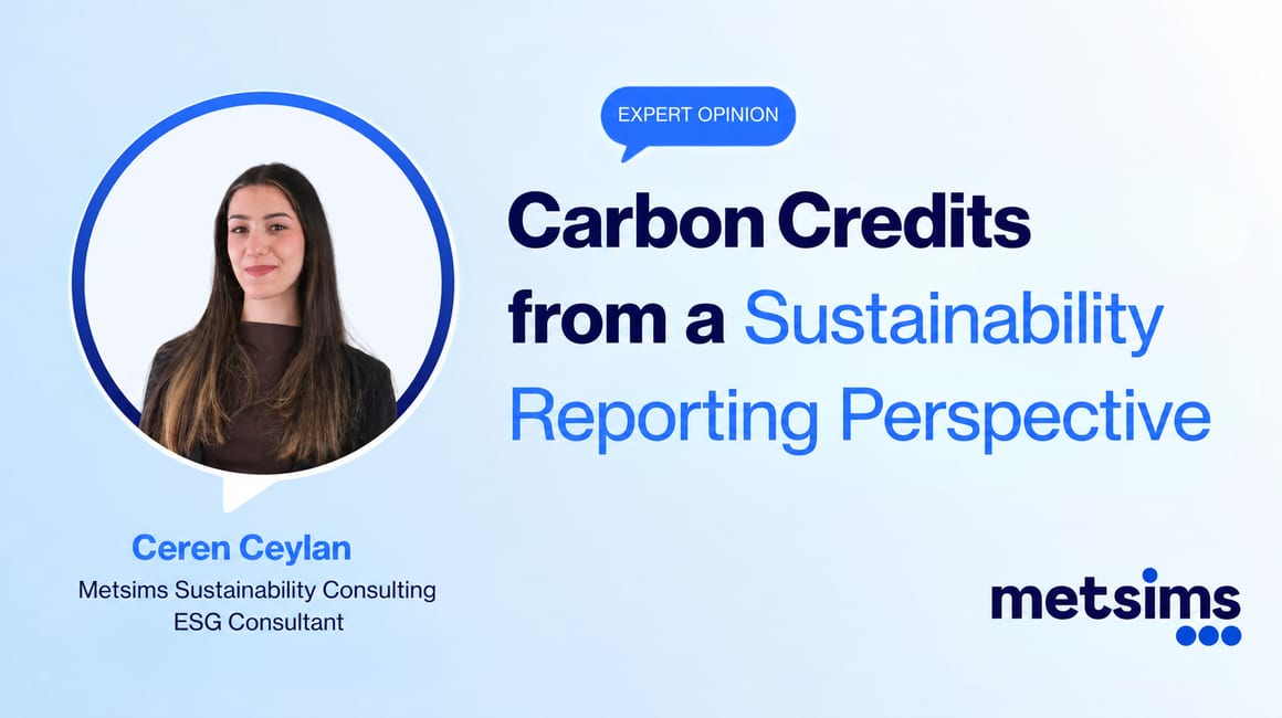Expert Opinion card for the article "Carbon Credits in Sustainability Reports: A CSRD and ESRS Perspective"