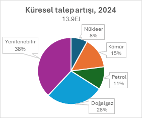 Pie chart headed "Global demand growth, 2024 — 13.9 EJ", showing which fuels met the increase: renewables 38%, natural gas 28%, coal 15%, oil 11% and nuclear 8%. Renewables and natural gas together account for about two thirds of the growth. The labels are in Turkish in the image.