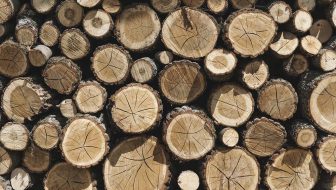 Firewood