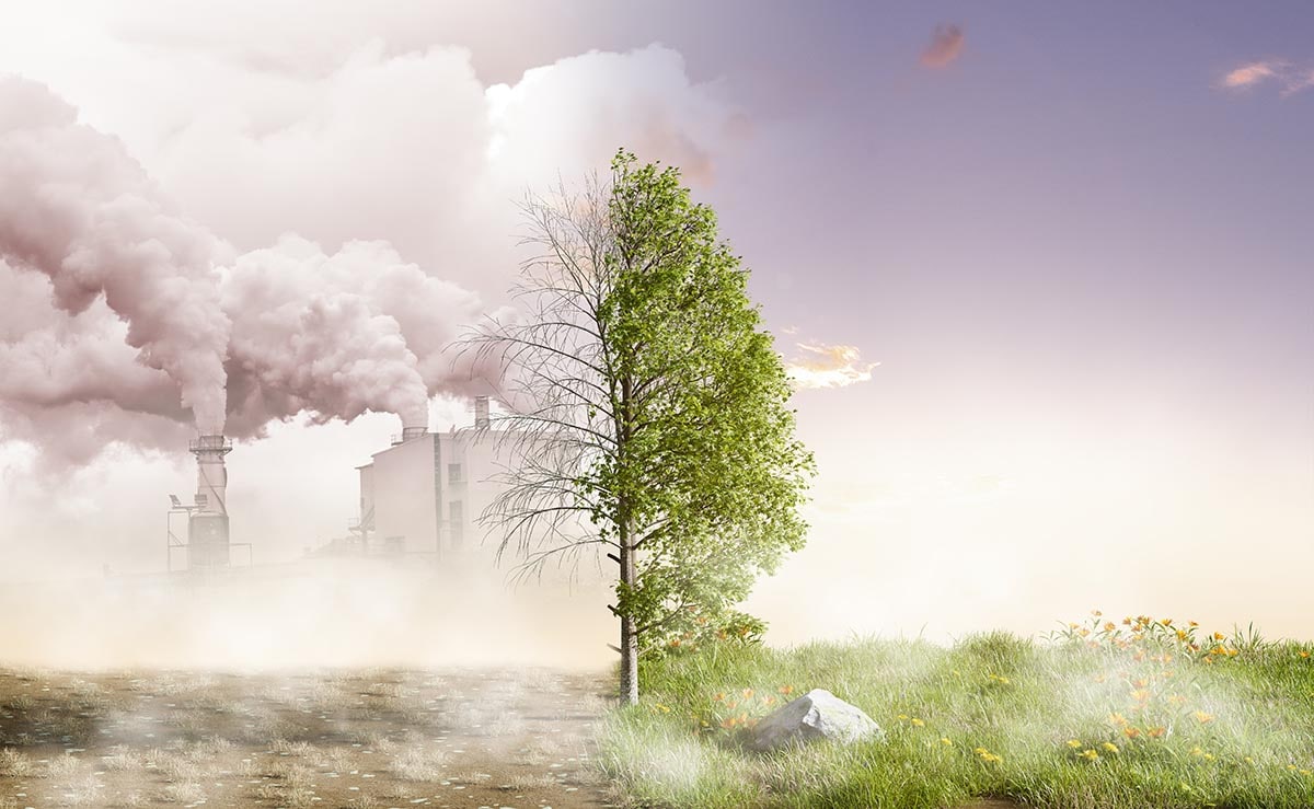 Greenhouse Gas Emissions Green Tree