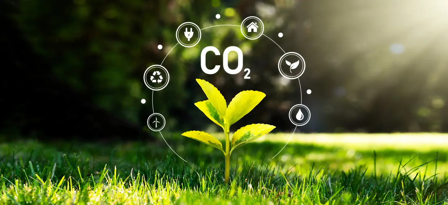 karbon ve karbondioksit