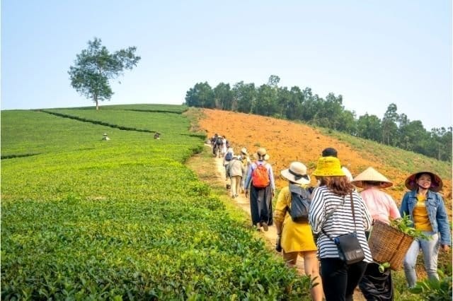 agro turizm nedir