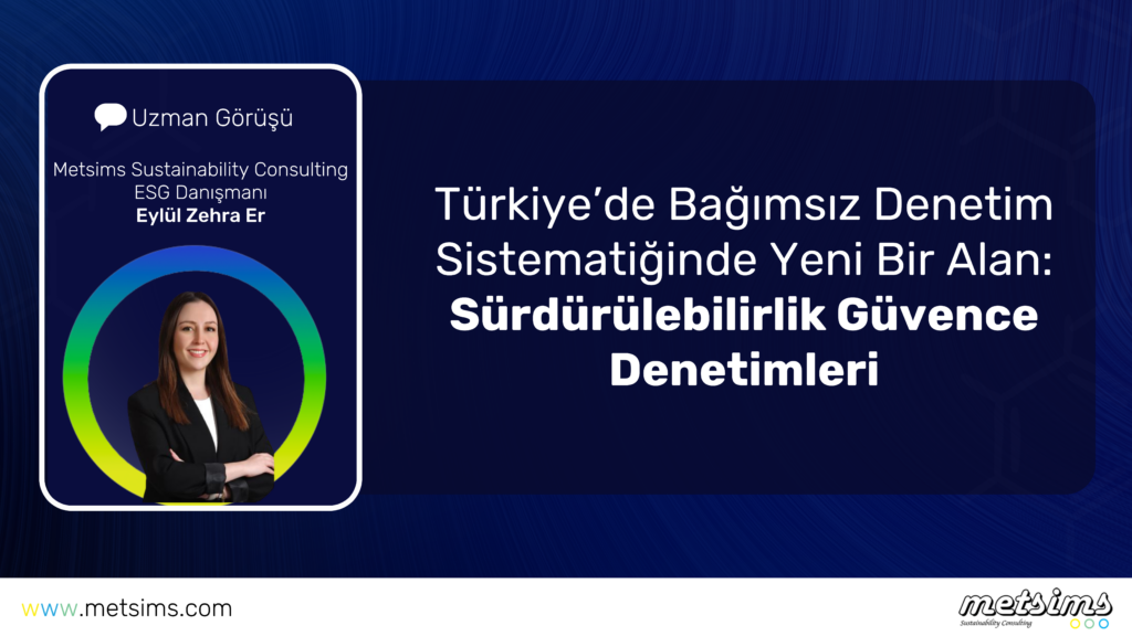 Türkiye’de Bağımsız Denetim Sistematiğinde Yeni Bir Alan: Sürdürülebilirlik Güvence Denetimleri